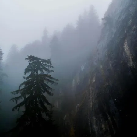 Deluxe House Glavatarski Hotell *