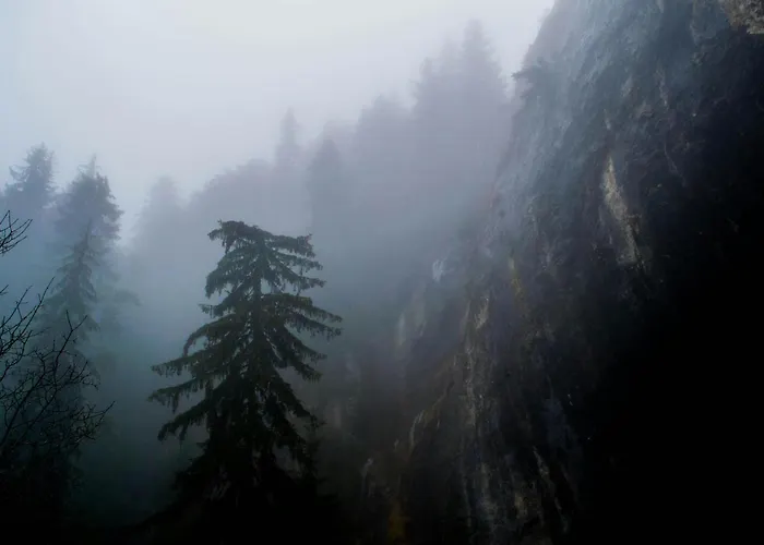 Deluxe House Glavatarski Hotell *